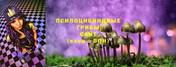 шишки Армянск