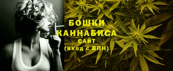 шишки Армянск