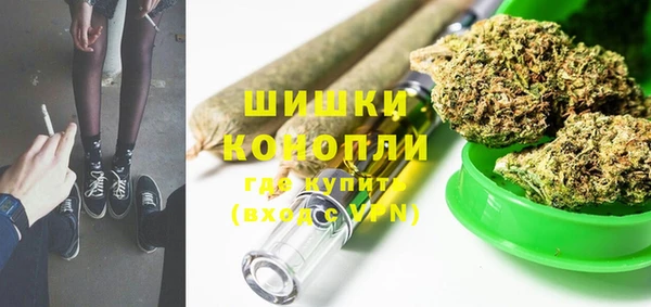шишки Армянск